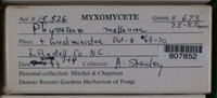 Image Associated With the Occurence